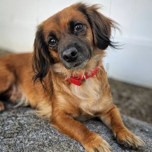 Meet your Posher, Daniel